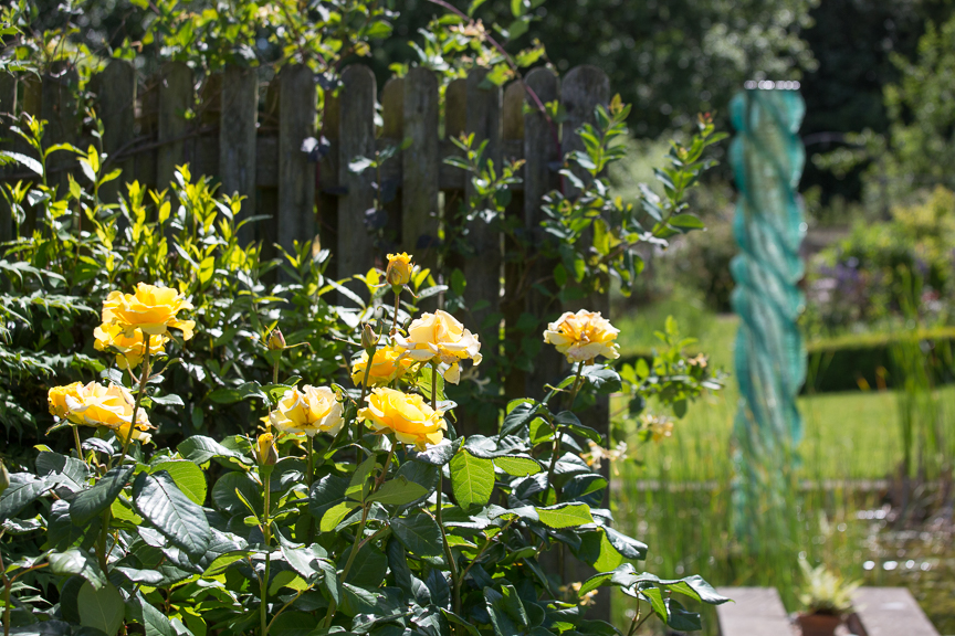 Hospice of St Francis Berkhamsted Gardens