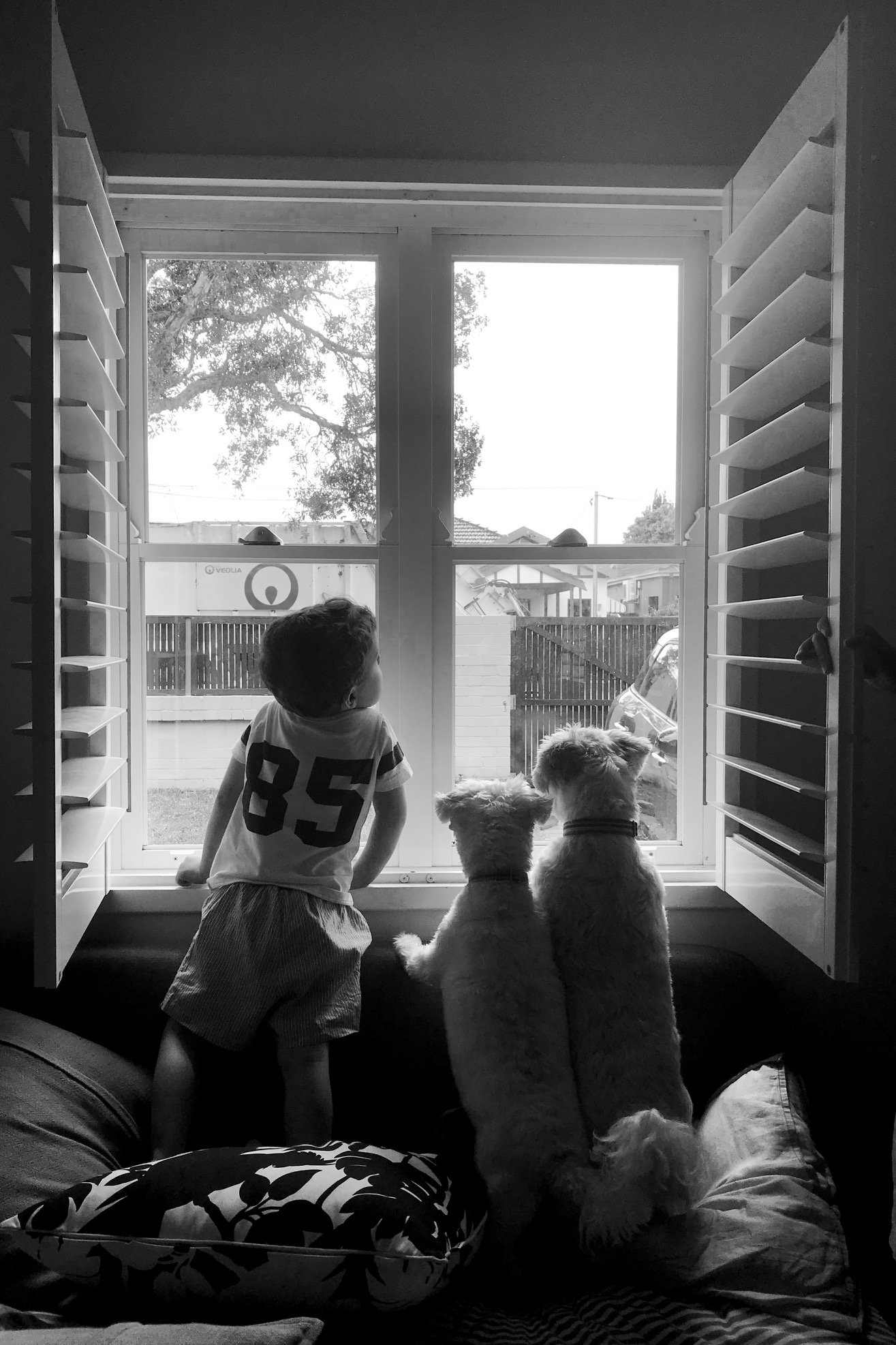 Daydreaming at the window in black and white