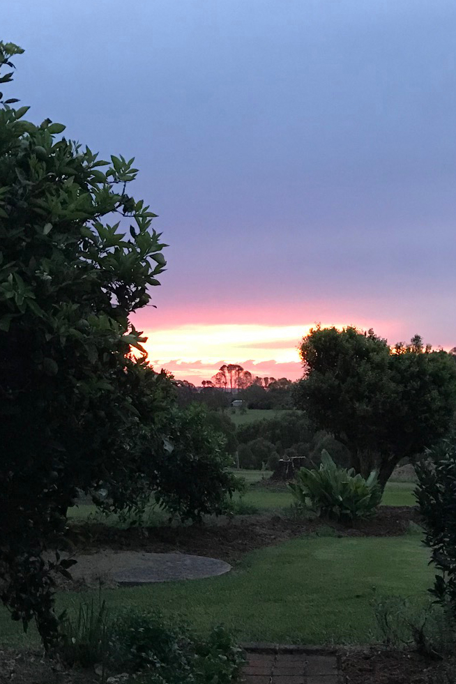 Sunset through the trees