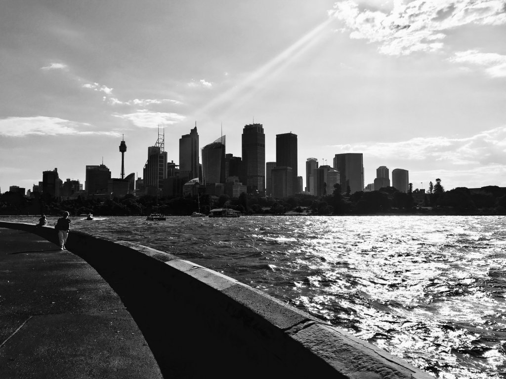 Sydney Cityscape black and white