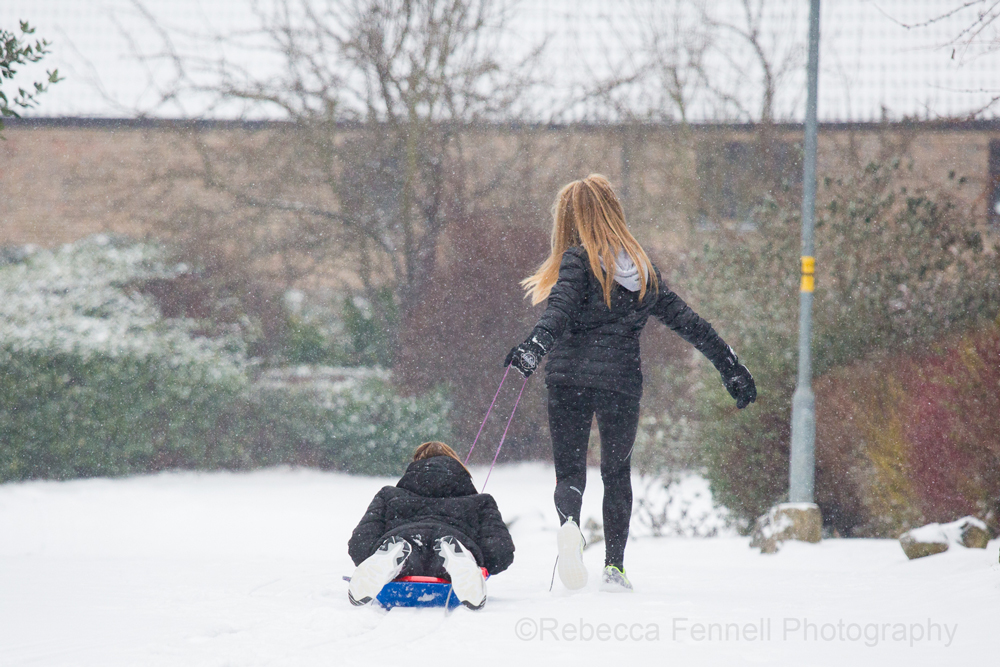 children playing on a sledge in the snow
