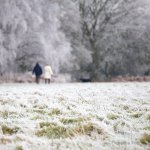 people walking through a snowy field